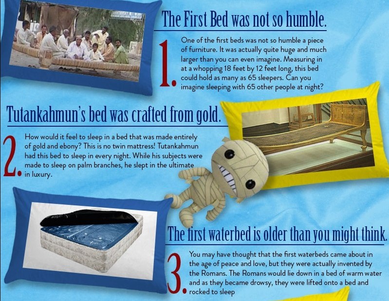 Did you know facts about beds?